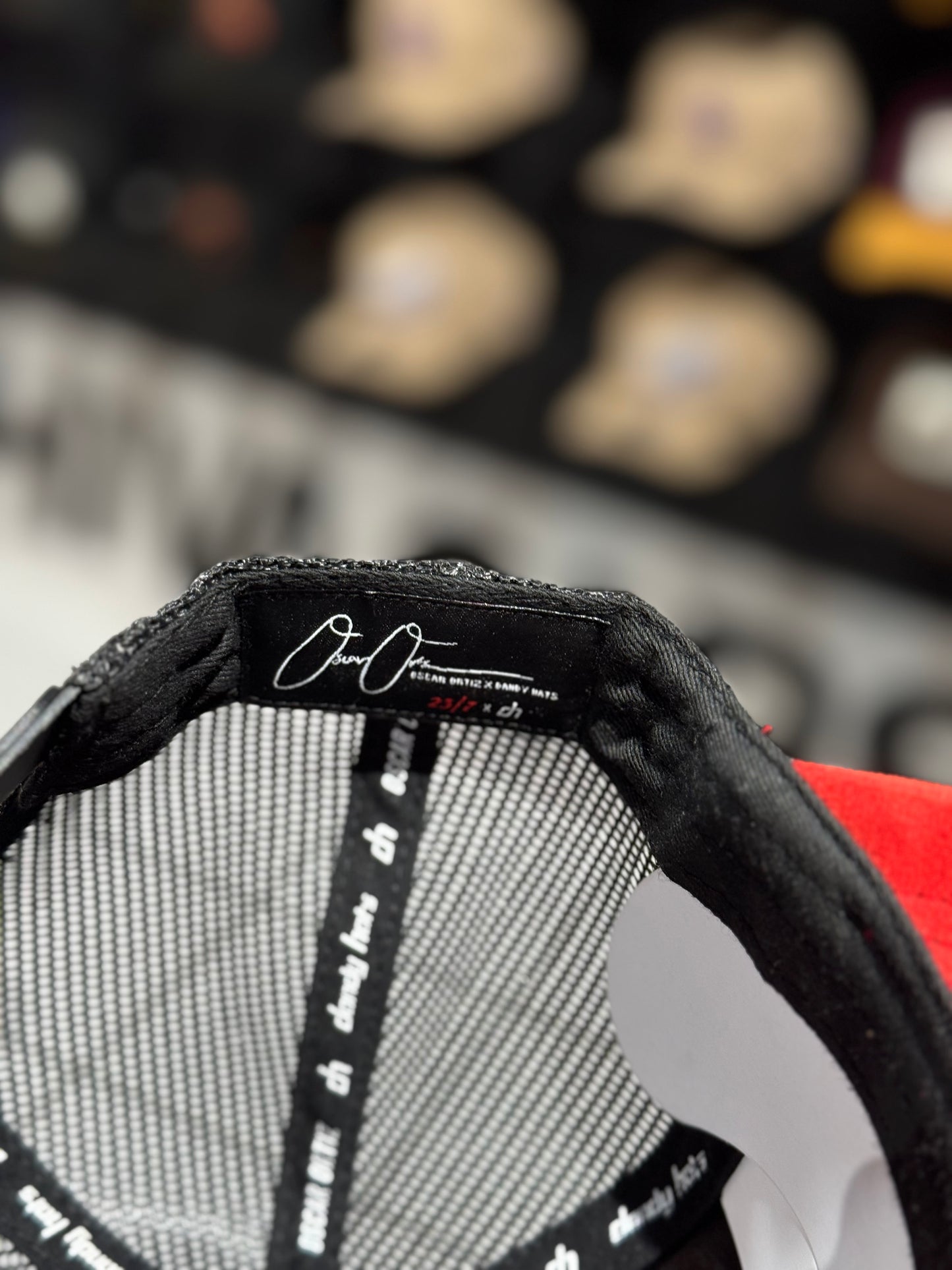 Dandy Yo No Pesco 23/7