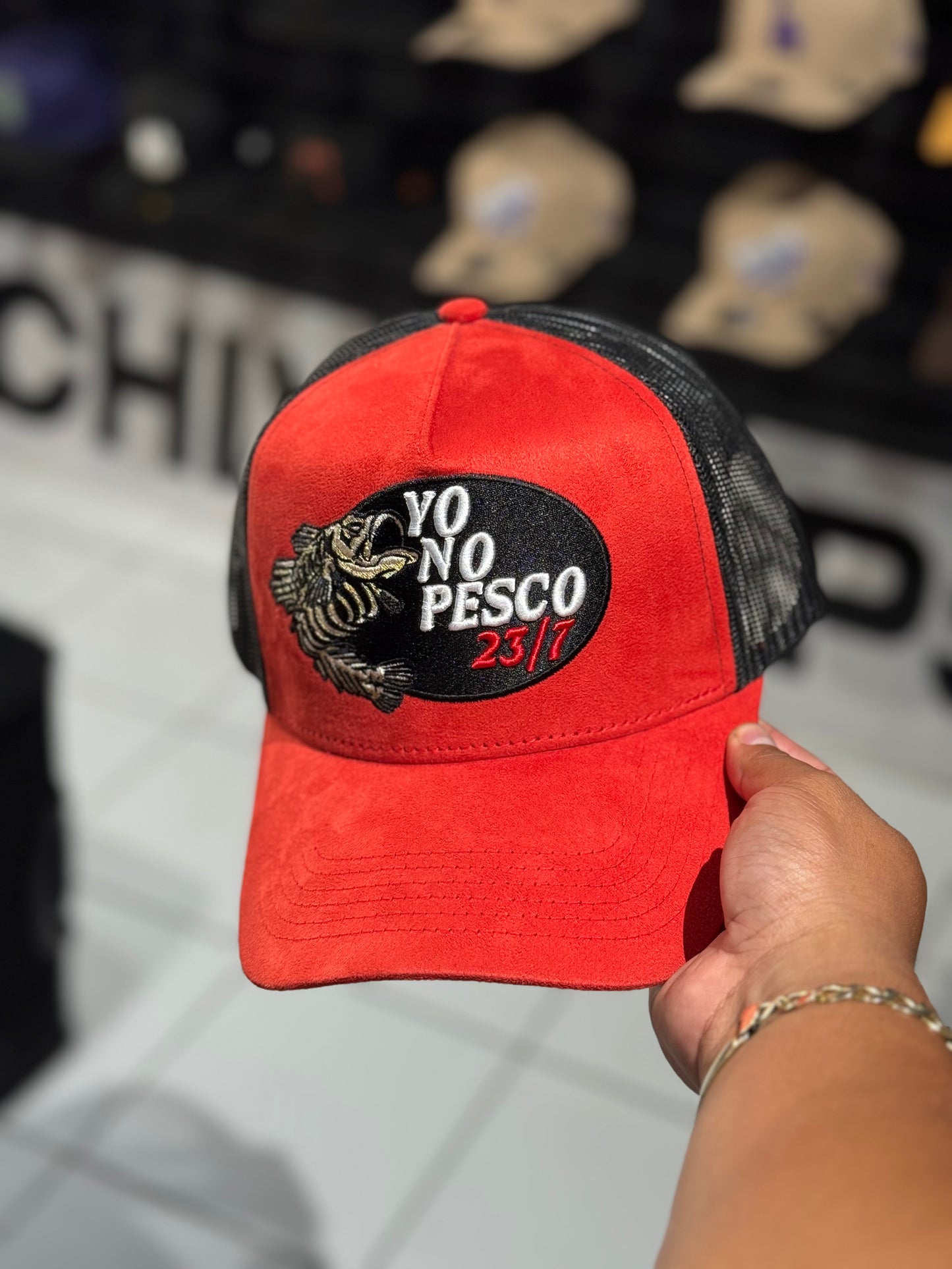 Dandy Yo No Pesco 23/7