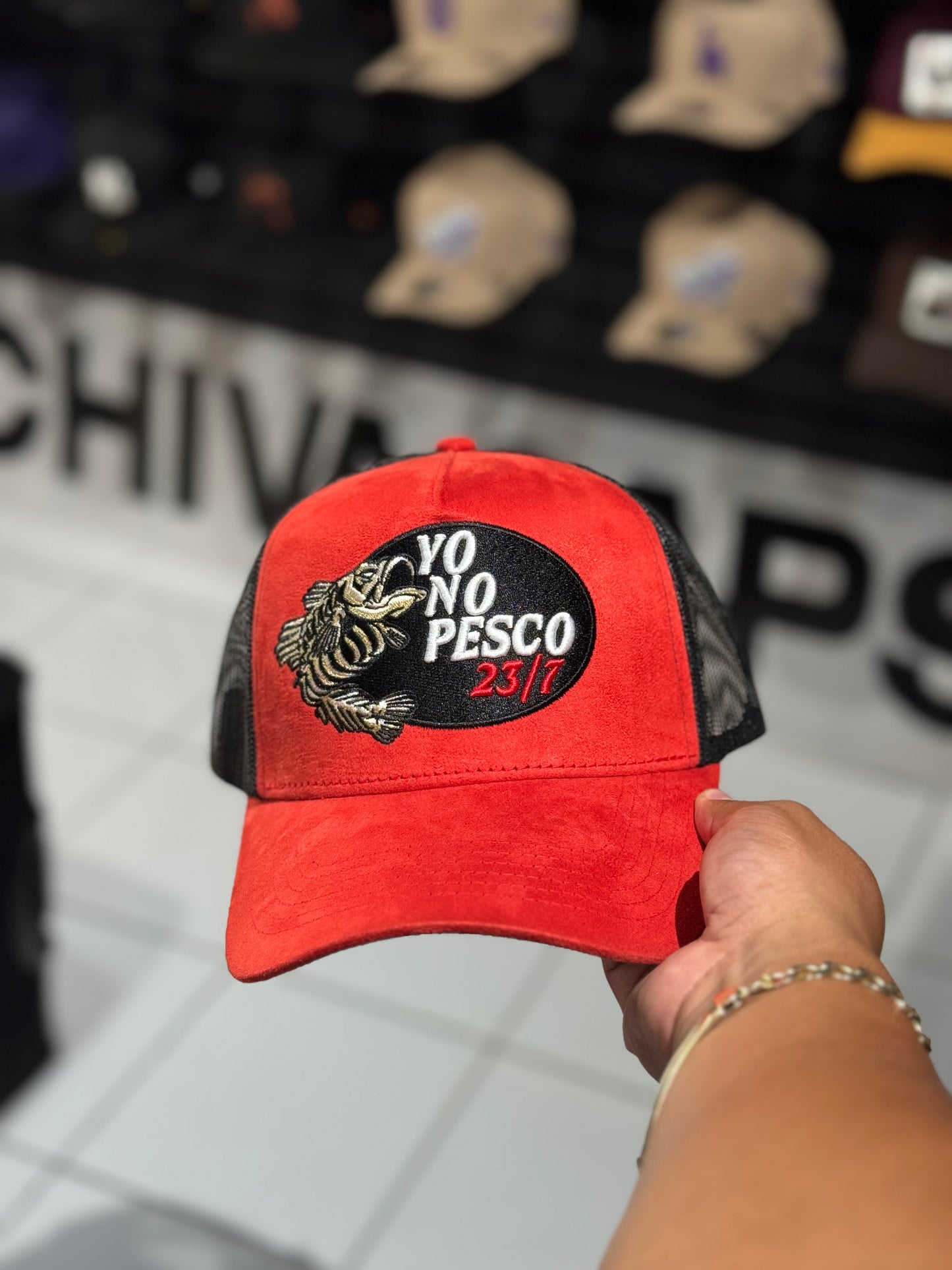 Dandy Yo No Pesco 23/7