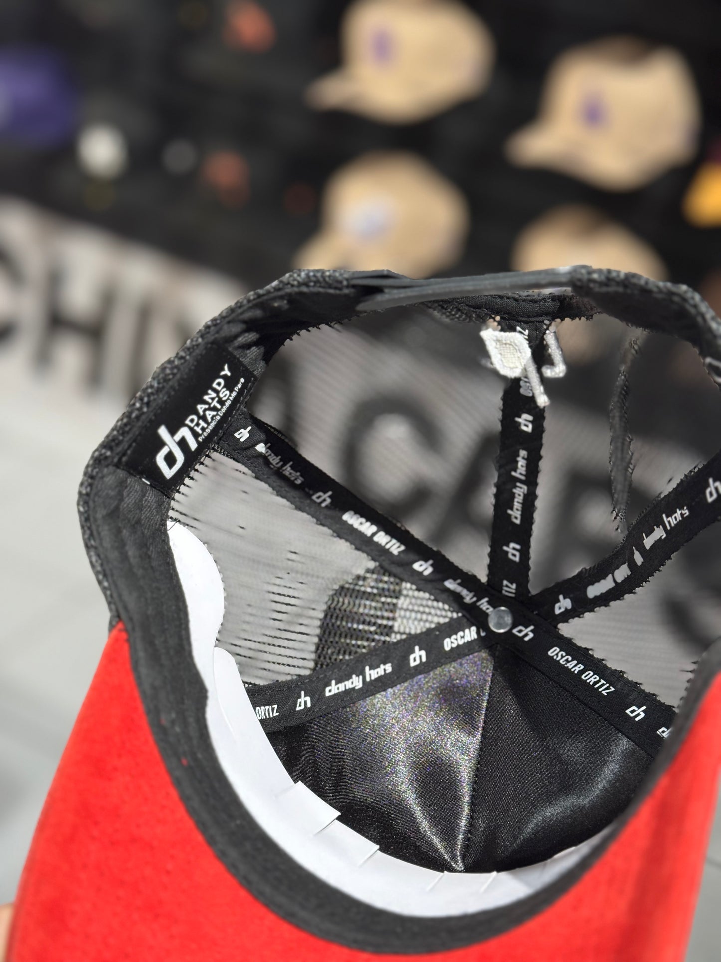 Dandy Yo No Pesco 23/7