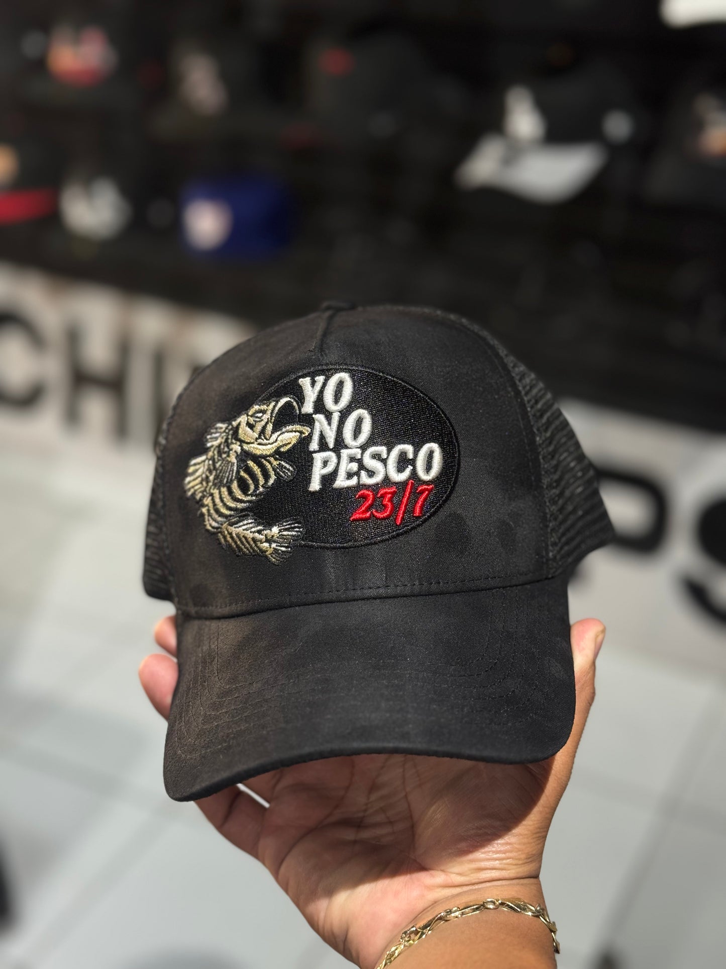 Dandy Yo No pesco 23/7